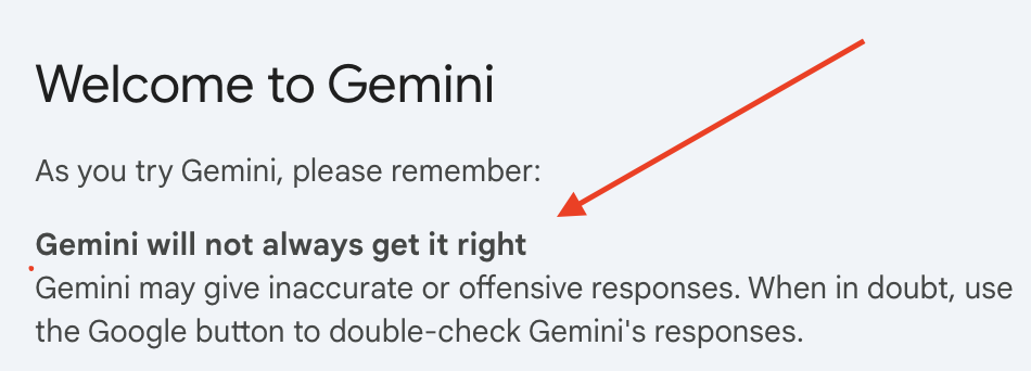 gemini fine print